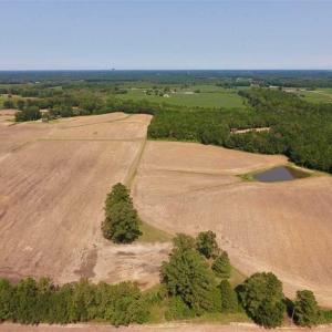 Photo of SOLD!! 85 Acres of Farm and Timber Land with Cabin and Pond For Sale in Edgecombe County NC!