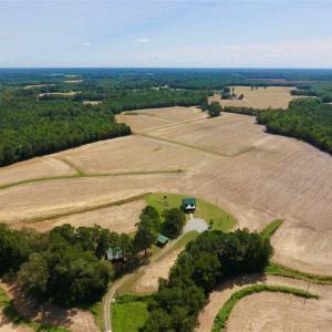 Photo of SOLD!! 85 Acres of Farm and Timber Land with Cabin and Pond For Sale in Edgecombe County NC!