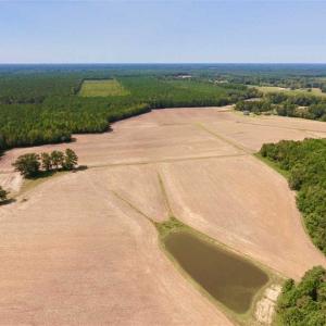 Photo of SOLD!! 85 Acres of Farm and Timber Land with Cabin and Pond For Sale in Edgecombe County NC!