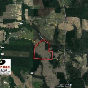 Photo of SOLD!! 85 Acres of Farm and Timber Land with Cabin and Pond For Sale in Edgecombe County NC!