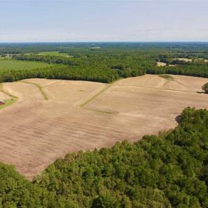 Photo of SOLD!! 85 Acres of Farm and Timber Land with Cabin and Pond For Sale in Edgecombe County NC!