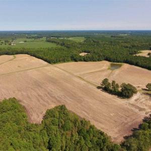 Photo of SOLD!! 85 Acres of Farm and Timber Land with Cabin and Pond For Sale in Edgecombe County NC!