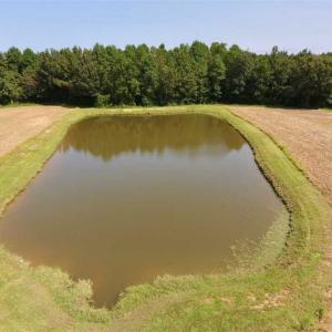 Photo of SOLD!! 85 Acres of Farm and Timber Land with Cabin and Pond For Sale in Edgecombe County NC!