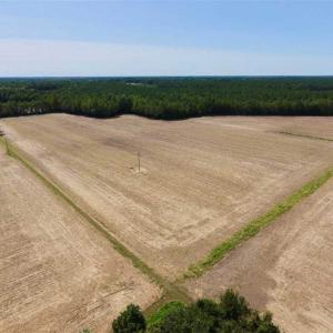 Photo of SOLD!! 85 Acres of Farm and Timber Land with Cabin and Pond For Sale in Edgecombe County NC!