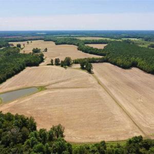 Photo of SOLD!! 85 Acres of Farm and Timber Land with Cabin and Pond For Sale in Edgecombe County NC!