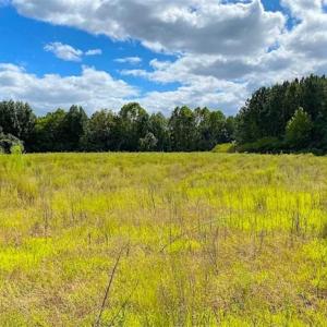 Photo of SOLD!!  34.39 Acres of Farm Land For Sale in Dinwiddie County Virginia!