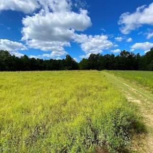 Photo of SOLD!!  34.39 Acres of Farm Land For Sale in Dinwiddie County Virginia!