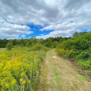 Photo of SOLD!!  34.39 Acres of Farm Land For Sale in Dinwiddie County Virginia!