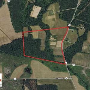 Photo of SOLD!!  34.39 Acres of Farm Land For Sale in Dinwiddie County Virginia!