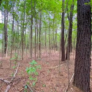 Photo of SOLD!!  34.39 Acres of Farm Land For Sale in Dinwiddie County Virginia!