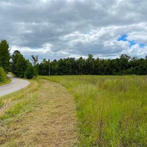 Photo of SOLD!!  34.39 Acres of Farm Land For Sale in Dinwiddie County Virginia!