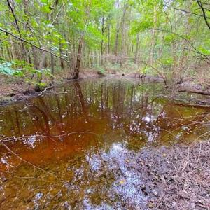 Photo of SOLD!!  34.39 Acres of Farm Land For Sale in Dinwiddie County Virginia!