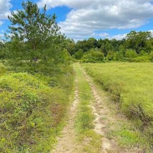 Photo of SOLD!!  34.39 Acres of Farm Land For Sale in Dinwiddie County Virginia!