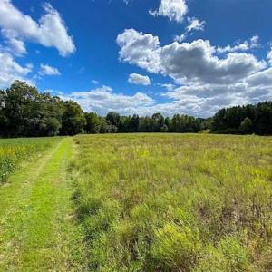Photo of SOLD!!  34.39 Acres of Farm Land For Sale in Dinwiddie County Virginia!
