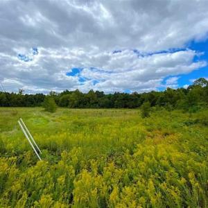 Photo of SOLD!!  34.39 Acres of Farm Land For Sale in Dinwiddie County Virginia!