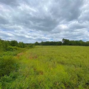 Photo of SOLD!!  34.39 Acres of Farm Land For Sale in Dinwiddie County Virginia!