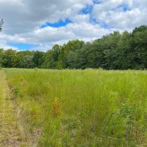 Photo of SOLD!!  34.39 Acres of Farm Land For Sale in Dinwiddie County Virginia!