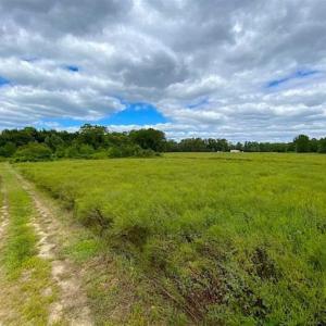 Photo of SOLD!!  34.39 Acres of Farm Land For Sale in Dinwiddie County Virginia!
