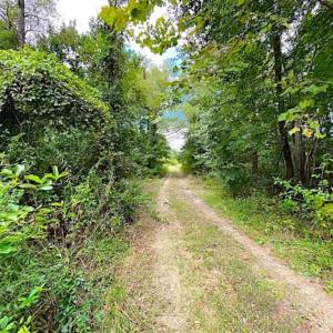 Photo of SOLD!!  34.39 Acres of Farm Land For Sale in Dinwiddie County Virginia!
