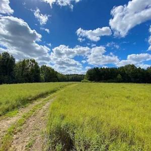 Photo of SOLD!!  34.39 Acres of Farm Land For Sale in Dinwiddie County Virginia!