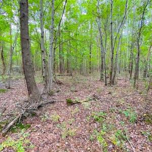 Photo of SOLD!!  34.39 Acres of Farm Land For Sale in Dinwiddie County Virginia!