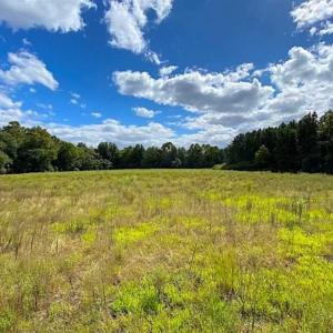 Photo of SOLD!!  34.39 Acres of Farm Land For Sale in Dinwiddie County Virginia!