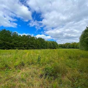 Photo of SOLD!!  34.39 Acres of Farm Land For Sale in Dinwiddie County Virginia!
