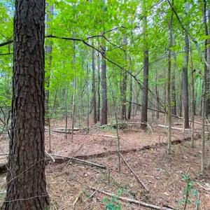 Photo of SOLD!!  34.39 Acres of Farm Land For Sale in Dinwiddie County Virginia!