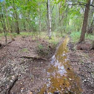 Photo of SOLD!!  34.39 Acres of Farm Land For Sale in Dinwiddie County Virginia!