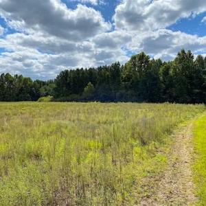 Photo of SOLD!!  34.39 Acres of Farm Land For Sale in Dinwiddie County Virginia!