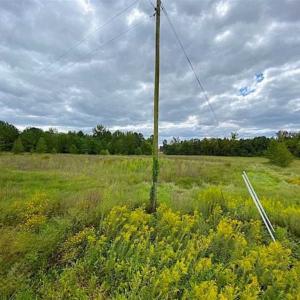 Photo of SOLD!!  34.39 Acres of Farm Land For Sale in Dinwiddie County Virginia!