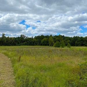 Photo of SOLD!!  34.39 Acres of Farm Land For Sale in Dinwiddie County Virginia!