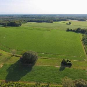 Photo of SOLD!!  148 Acres of Farm and Timber Land & 25% Interest in 128 Acres of Timber Land For Sale in Wilson County NC!