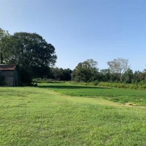 Photo of SOLD!!  148 Acres of Farm and Timber Land & 25% Interest in 128 Acres of Timber Land For Sale in Wilson County NC!