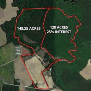 Photo of SOLD!!  148 Acres of Farm and Timber Land & 25% Interest in 128 Acres of Timber Land For Sale in Wilson County NC!