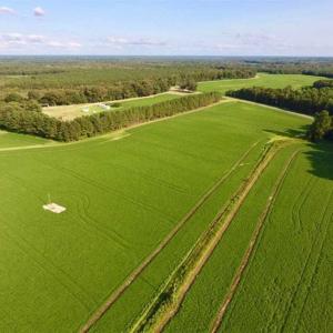 Photo of SOLD!!  148 Acres of Farm and Timber Land & 25% Interest in 128 Acres of Timber Land For Sale in Wilson County NC!