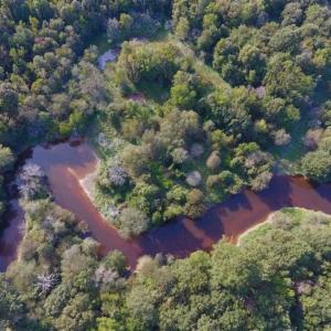 Photo of SOLD!!  148 Acres of Farm and Timber Land & 25% Interest in 128 Acres of Timber Land For Sale in Wilson County NC!
