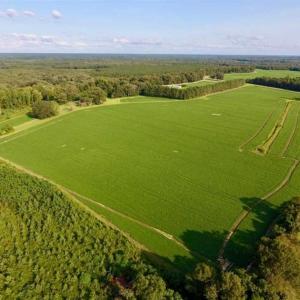 Photo of SOLD!!  148 Acres of Farm and Timber Land & 25% Interest in 128 Acres of Timber Land For Sale in Wilson County NC!
