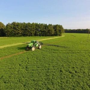 Photo of SOLD!!  148 Acres of Farm and Timber Land & 25% Interest in 128 Acres of Timber Land For Sale in Wilson County NC!