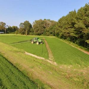 Photo of SOLD!!  148 Acres of Farm and Timber Land & 25% Interest in 128 Acres of Timber Land For Sale in Wilson County NC!