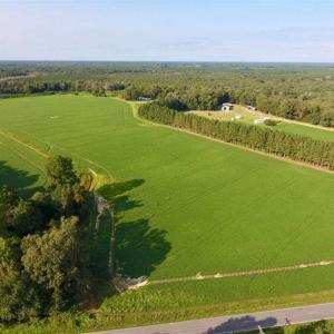 Photo of SOLD!!  148 Acres of Farm and Timber Land & 25% Interest in 128 Acres of Timber Land For Sale in Wilson County NC!