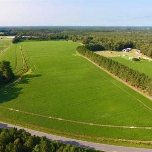 Photo of SOLD!!  148 Acres of Farm and Timber Land & 25% Interest in 128 Acres of Timber Land For Sale in Wilson County NC!