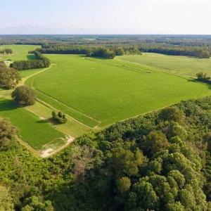 Photo of SOLD!!  148 Acres of Farm and Timber Land & 25% Interest in 128 Acres of Timber Land For Sale in Wilson County NC!