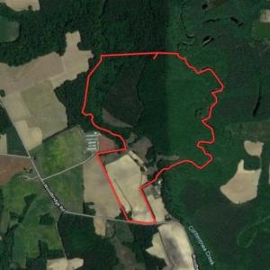 Photo of SOLD!!  148 Acres of Farm and Timber Land & 25% Interest in 128 Acres of Timber Land For Sale in Wilson County NC!