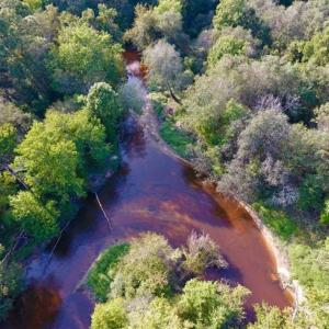 Photo of SOLD!!  148 Acres of Farm and Timber Land & 25% Interest in 128 Acres of Timber Land For Sale in Wilson County NC!