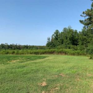 Photo of SOLD!!  148 Acres of Farm and Timber Land & 25% Interest in 128 Acres of Timber Land For Sale in Wilson County NC!
