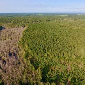 Photo of SOLD!!  148 Acres of Farm and Timber Land & 25% Interest in 128 Acres of Timber Land For Sale in Wilson County NC!