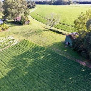 Photo of SOLD!!  148 Acres of Farm and Timber Land & 25% Interest in 128 Acres of Timber Land For Sale in Wilson County NC!