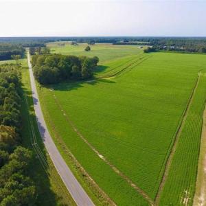 Photo of SOLD!!  148 Acres of Farm and Timber Land & 25% Interest in 128 Acres of Timber Land For Sale in Wilson County NC!