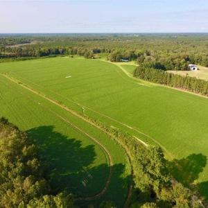 Photo of SOLD!!  148 Acres of Farm and Timber Land & 25% Interest in 128 Acres of Timber Land For Sale in Wilson County NC!